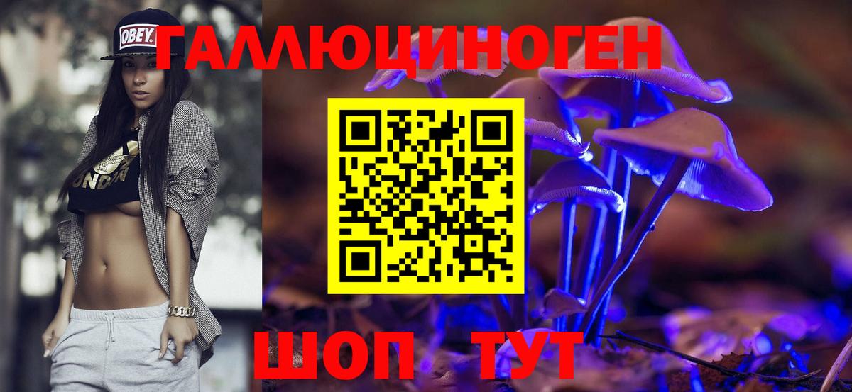 Сухой Лог  Галлюциногенные грибы Cubensis  Вход с VPN 